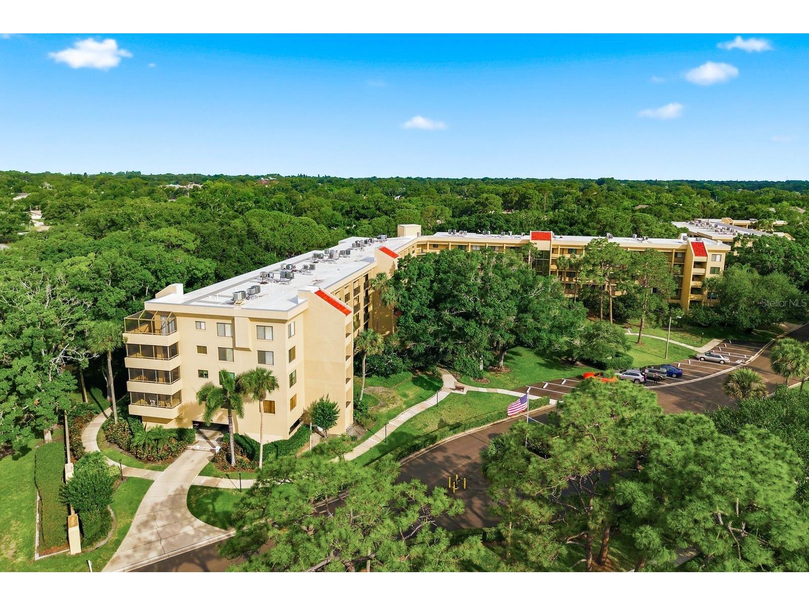 3078 Eastland Boulevard #401 Clearwater FL 33761 TB8508222 image33