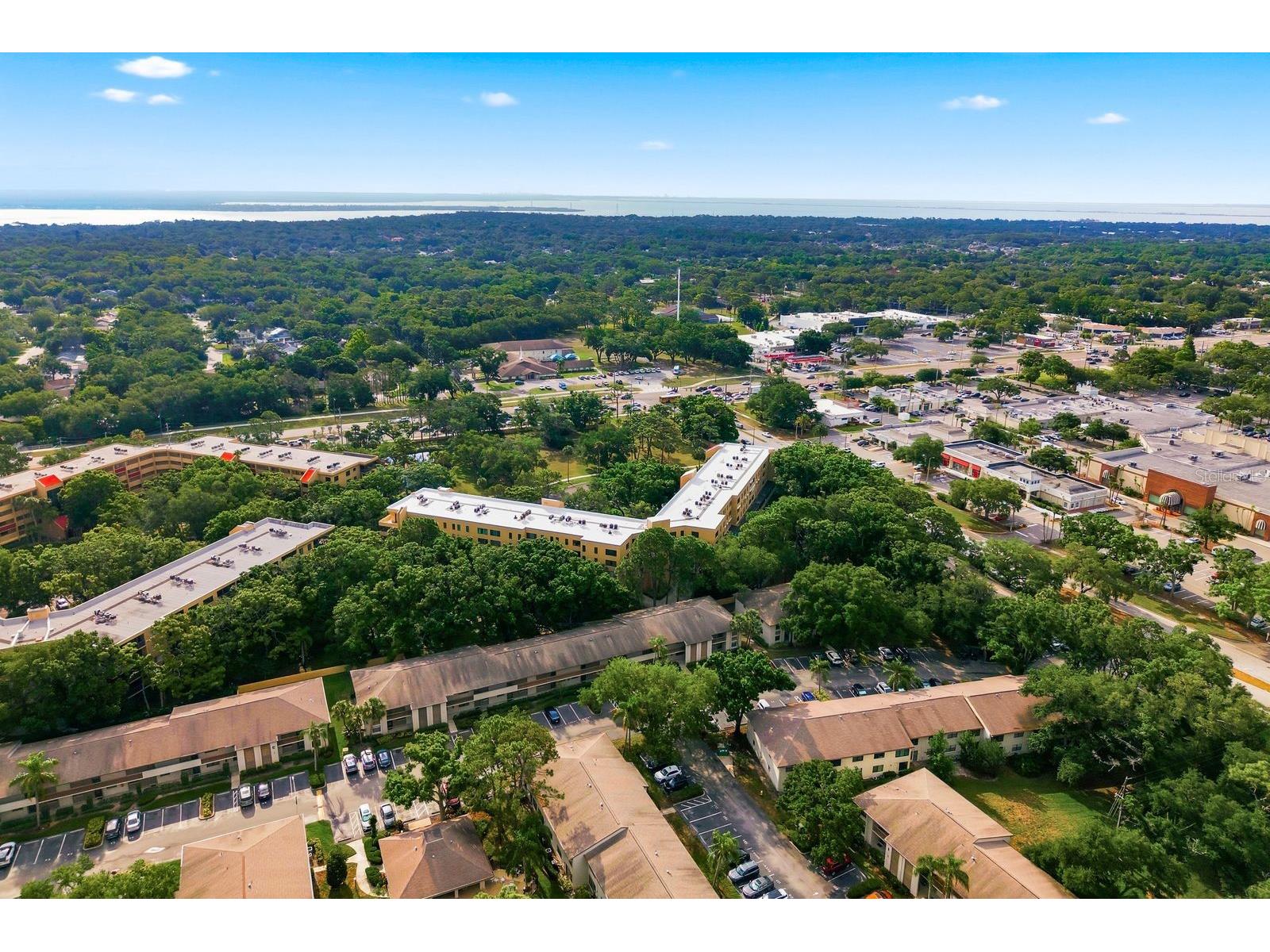 3078 Eastland Boulevard #401 Clearwater FL 33761 TB8508222 image39