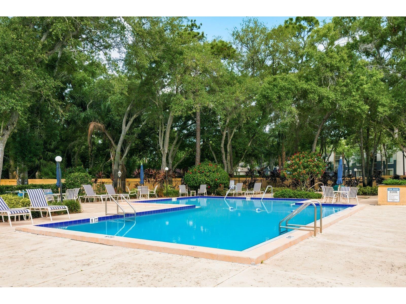 3078 Eastland Boulevard #401 Clearwater FL 33761 TB8508222 image48