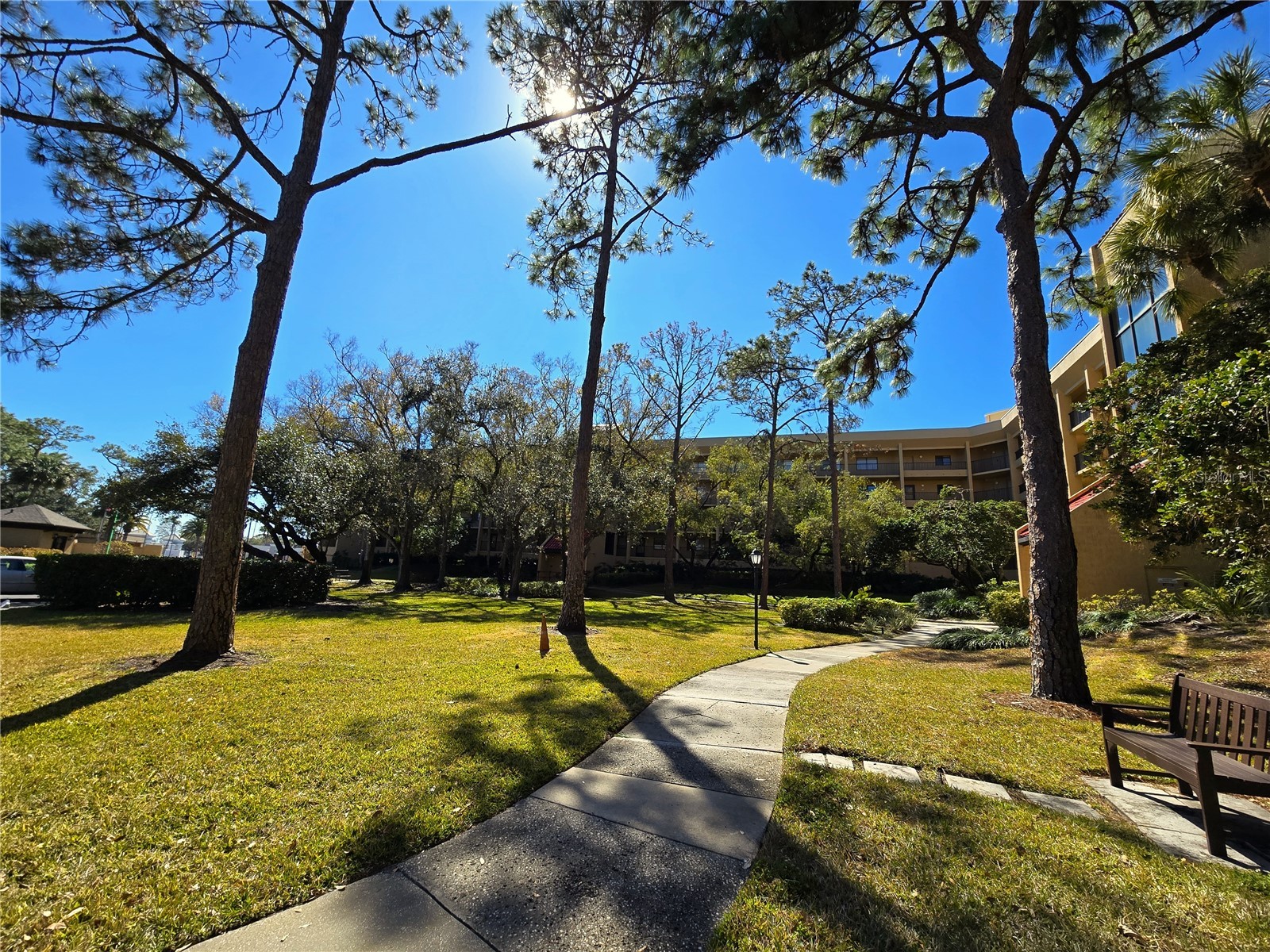 3078 Eastland Boulevard #411 Clearwater FL 33761 TB8479081 image1