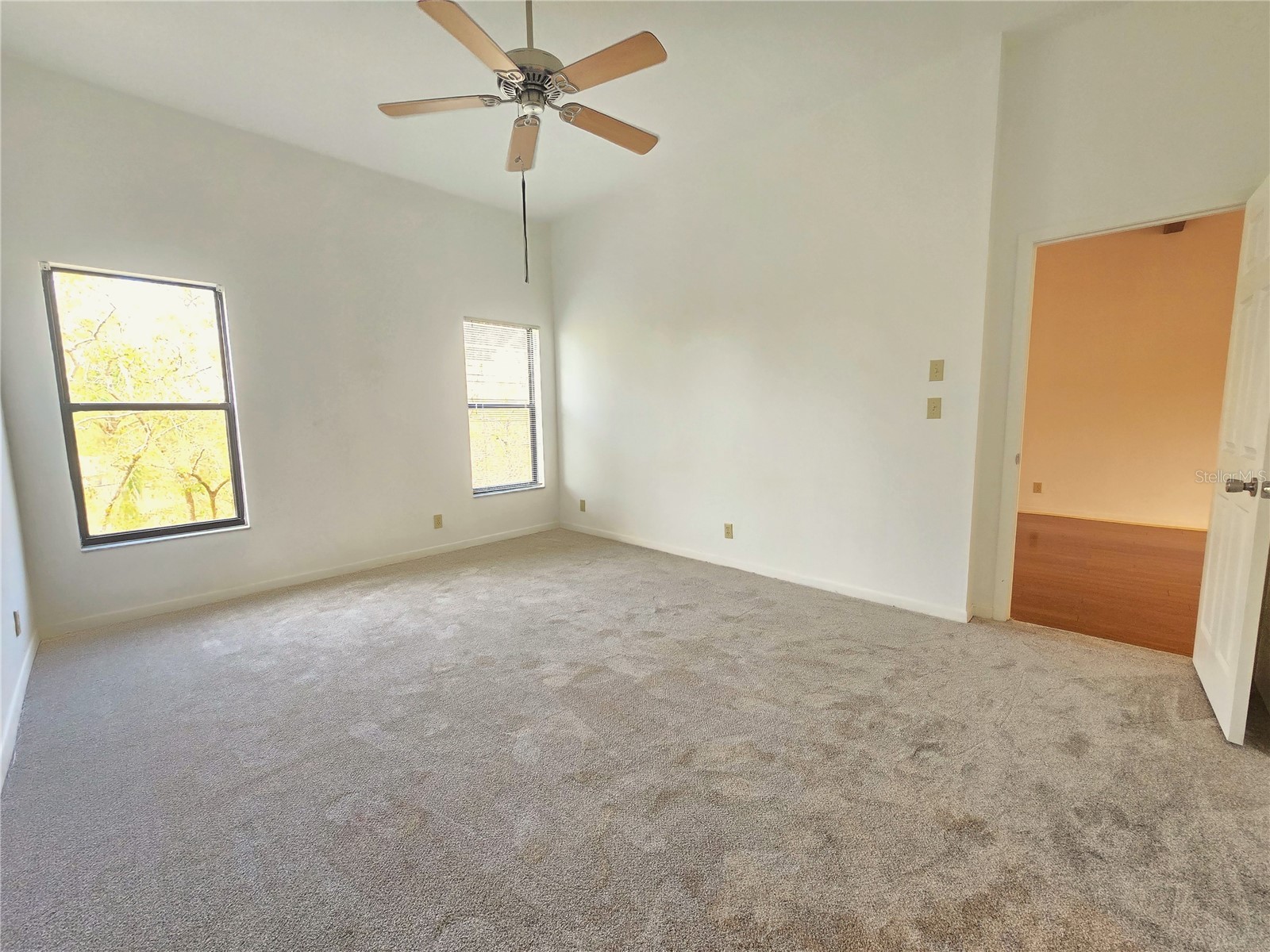 3078 Eastland Boulevard #411 Clearwater FL 33761 TB8479081 image13