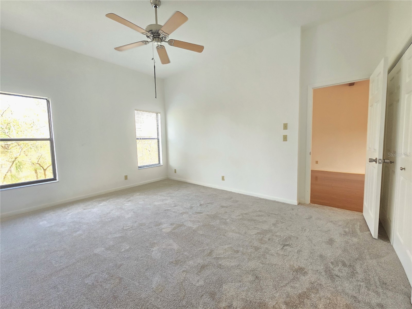 3078 Eastland Boulevard #411 Clearwater FL 33761 TB8479081 image14