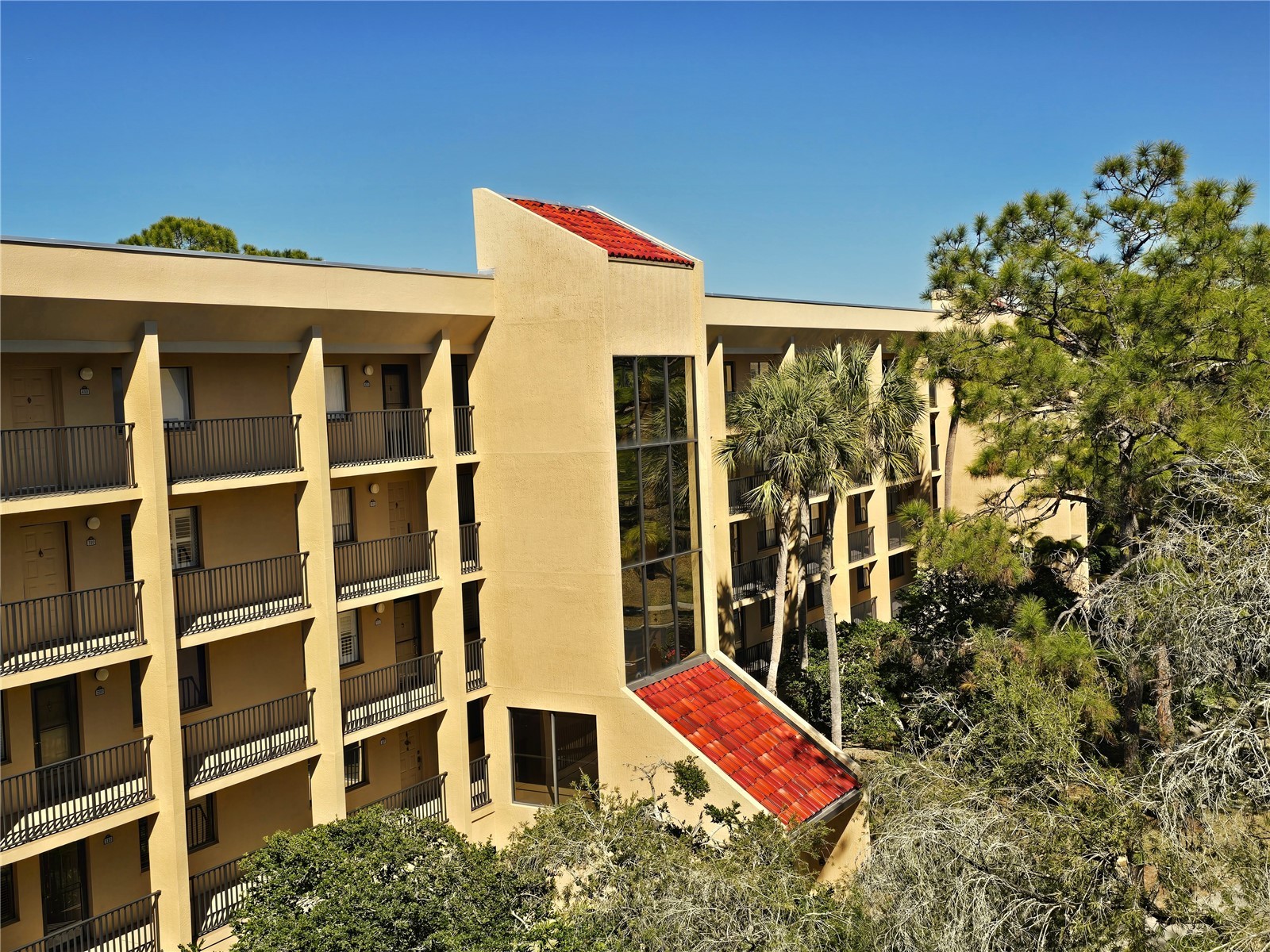 3078 Eastland Boulevard #411 Clearwater FL 33761 TB8479081 image3