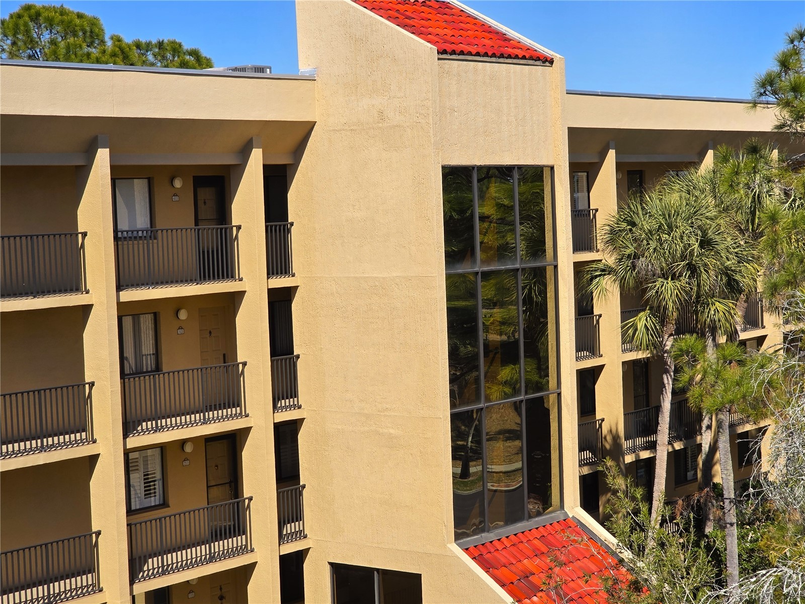 3078 Eastland Boulevard #411 Clearwater FL 33761 TB8479081 image31