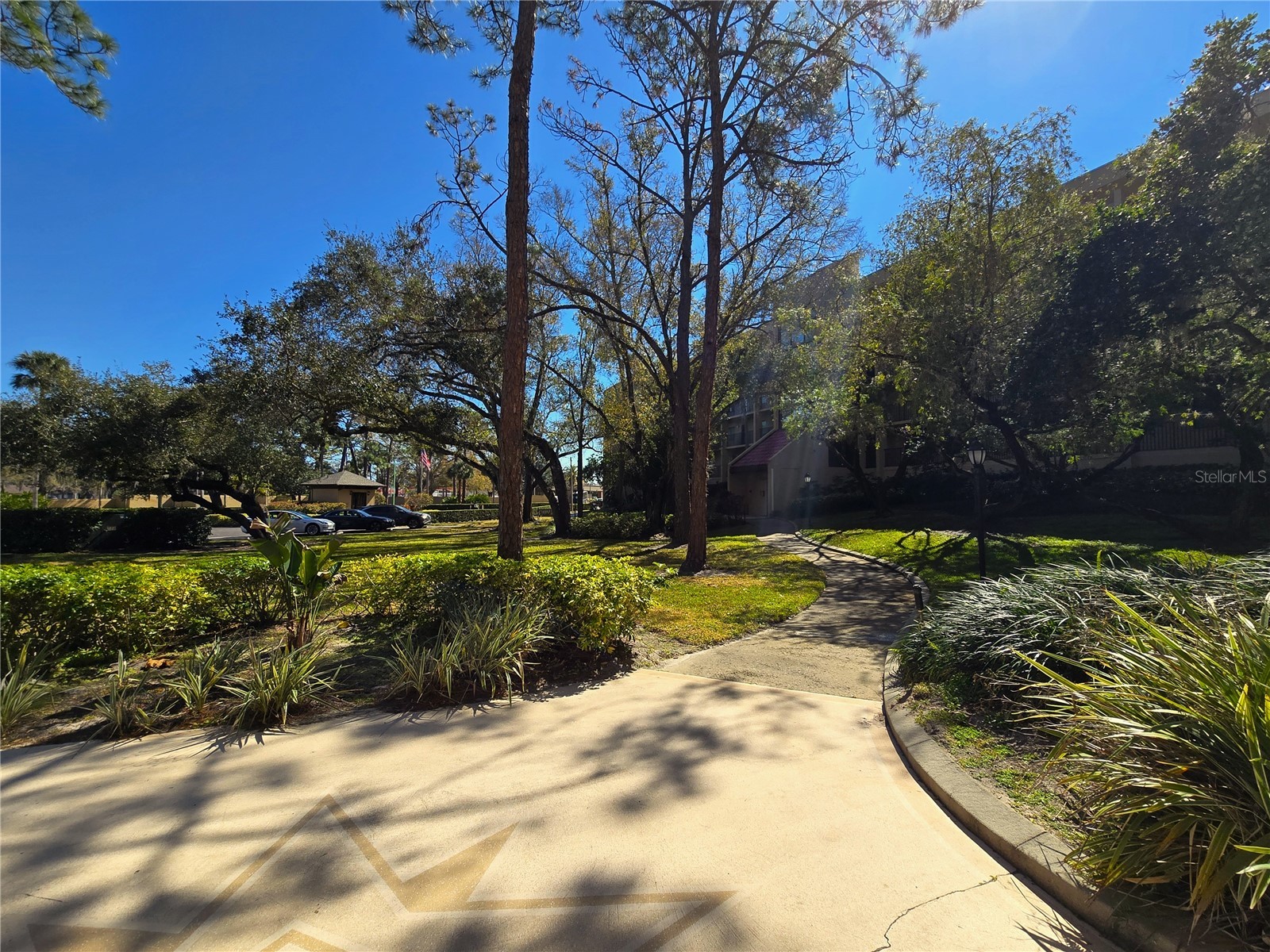 3078 Eastland Boulevard #411 Clearwater FL 33761 TB8479081 image33
