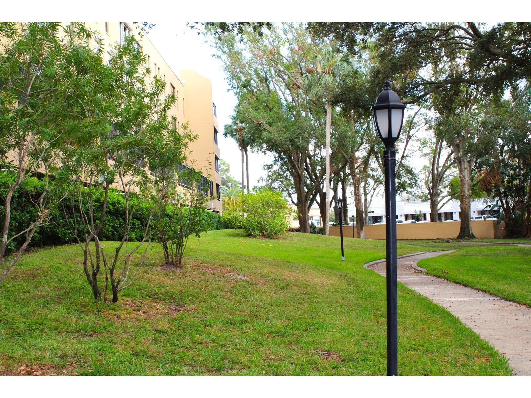 3078 Eastland Boulevard #411 Clearwater FL 33761 TB8479081 image34