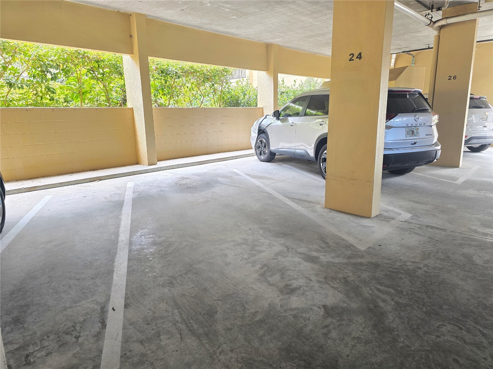 3078 Eastland Boulevard #411 Clearwater FL 33761 TB8479081 image37