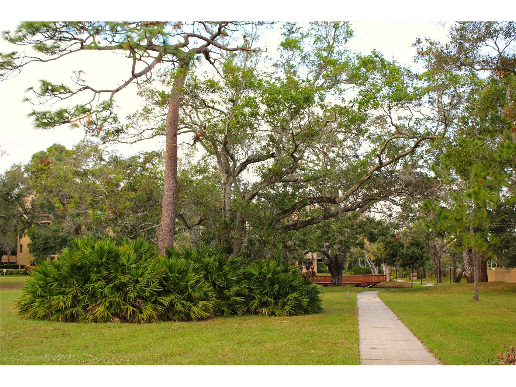 3078 Eastland Boulevard #411 Clearwater FL 33761 TB8479081 image38