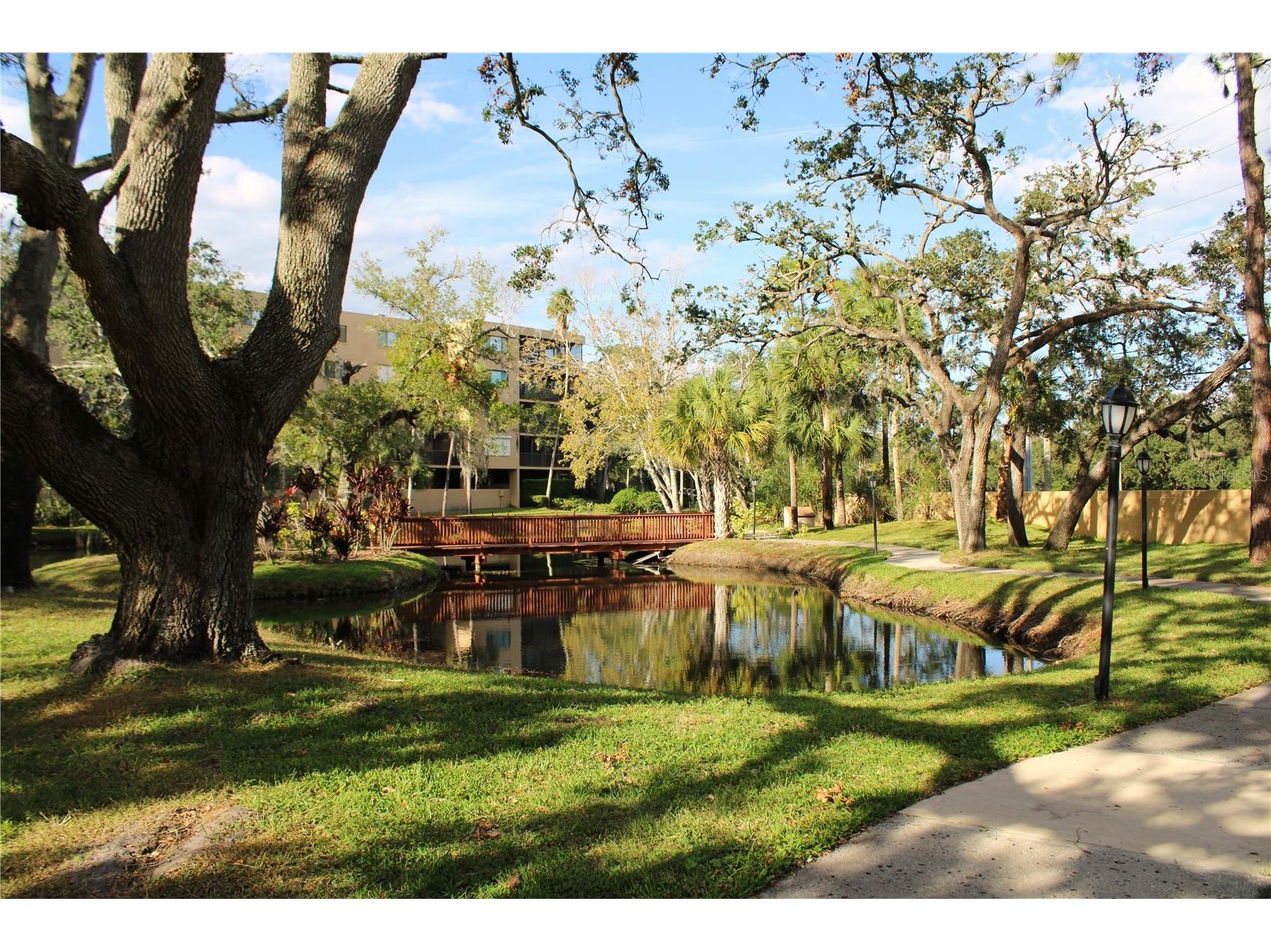 3078 Eastland Boulevard #411 Clearwater FL 33761 TB8479081 image39