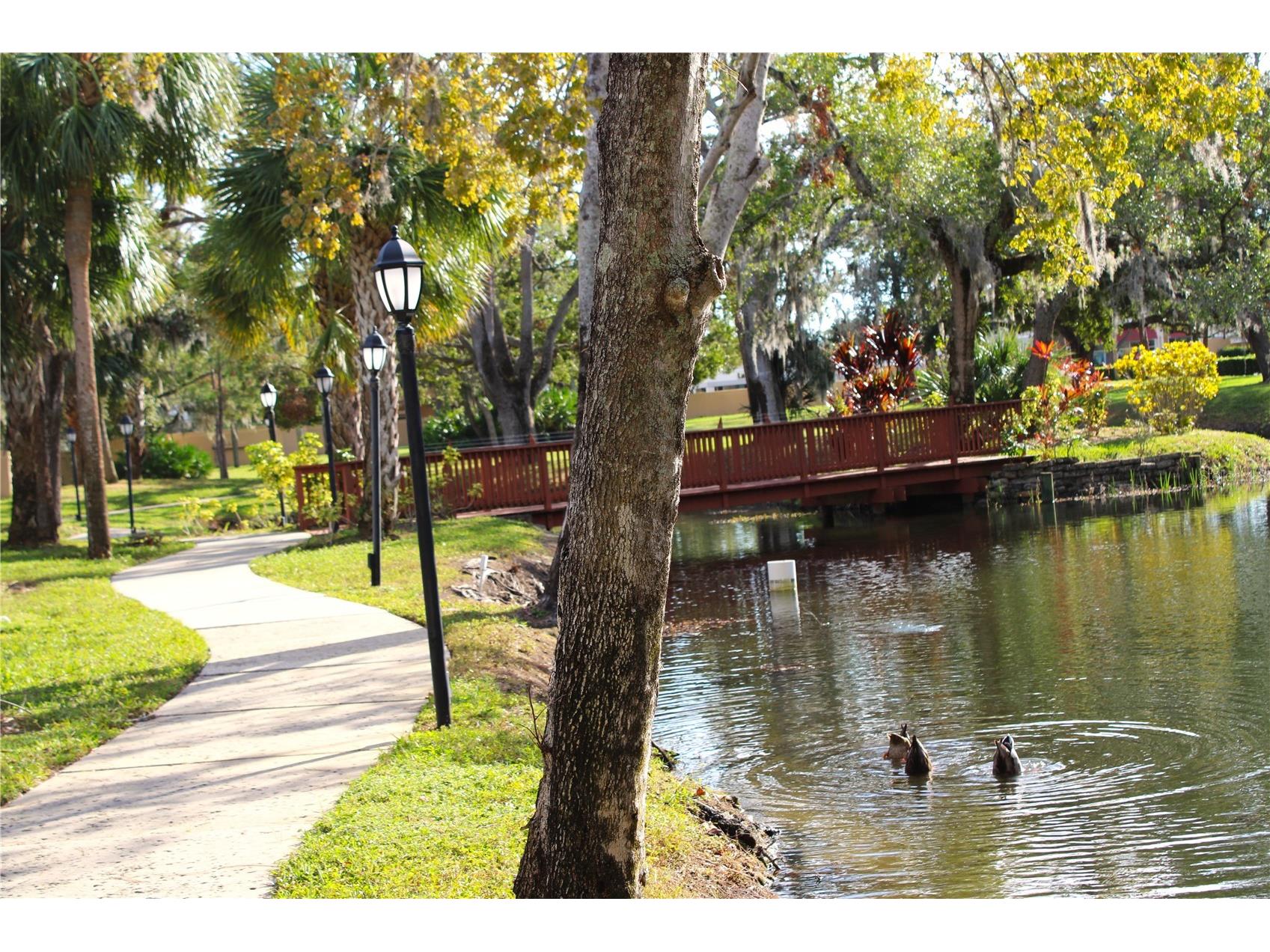 3078 Eastland Boulevard #411 Clearwater FL 33761 TB8479081 image41