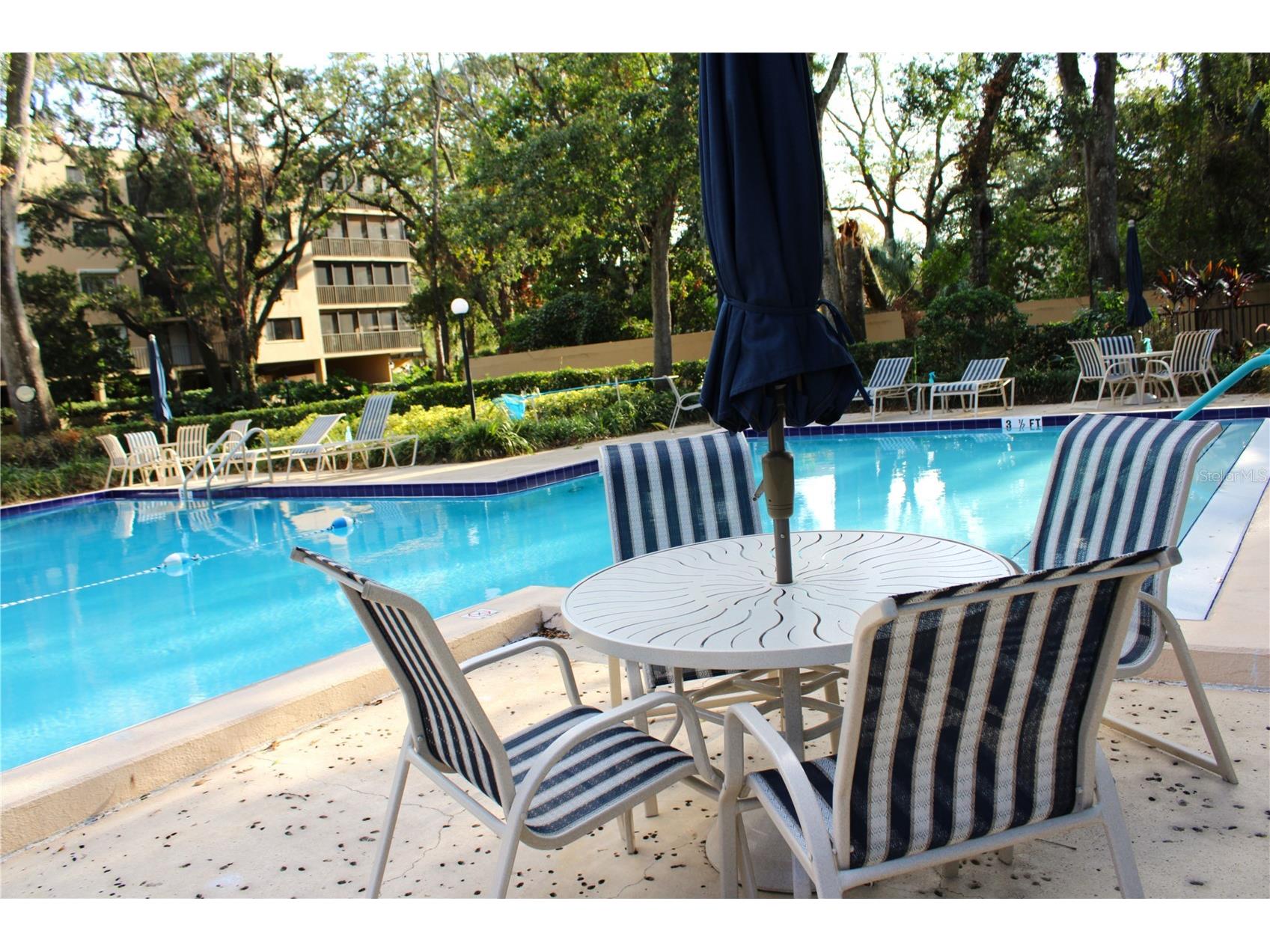 3078 Eastland Boulevard #411 Clearwater FL 33761 TB8479081 image47