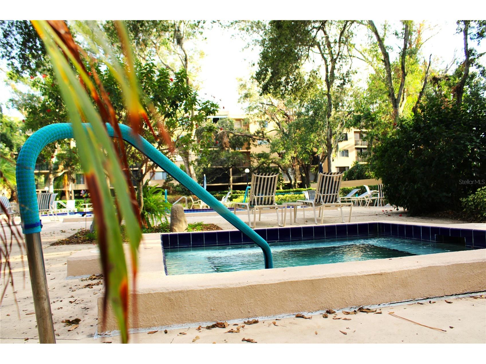 3078 Eastland Boulevard #411 Clearwater FL 33761 TB8479081 image48