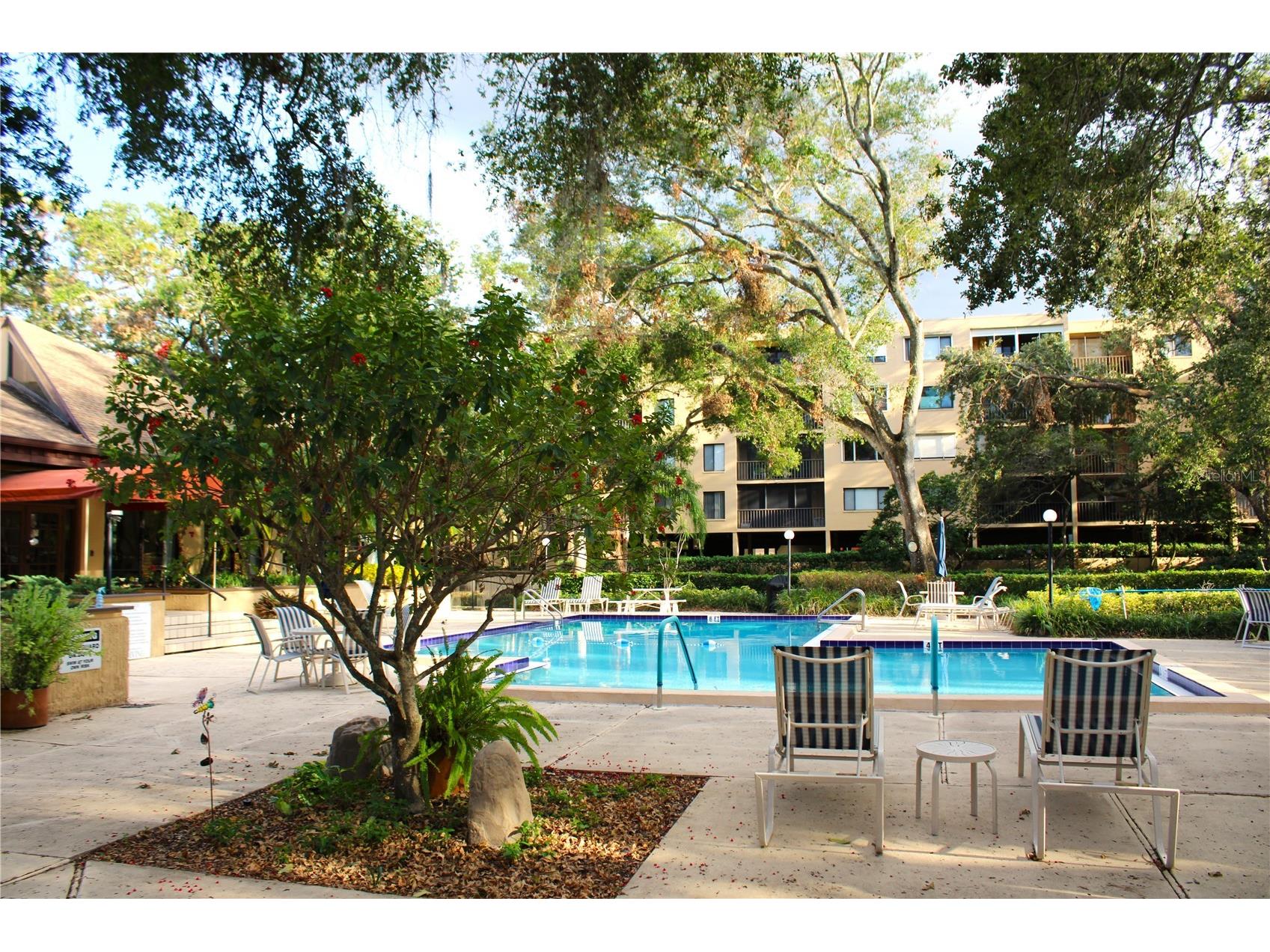 3078 Eastland Boulevard #411 Clearwater FL 33761 TB8479081 image49