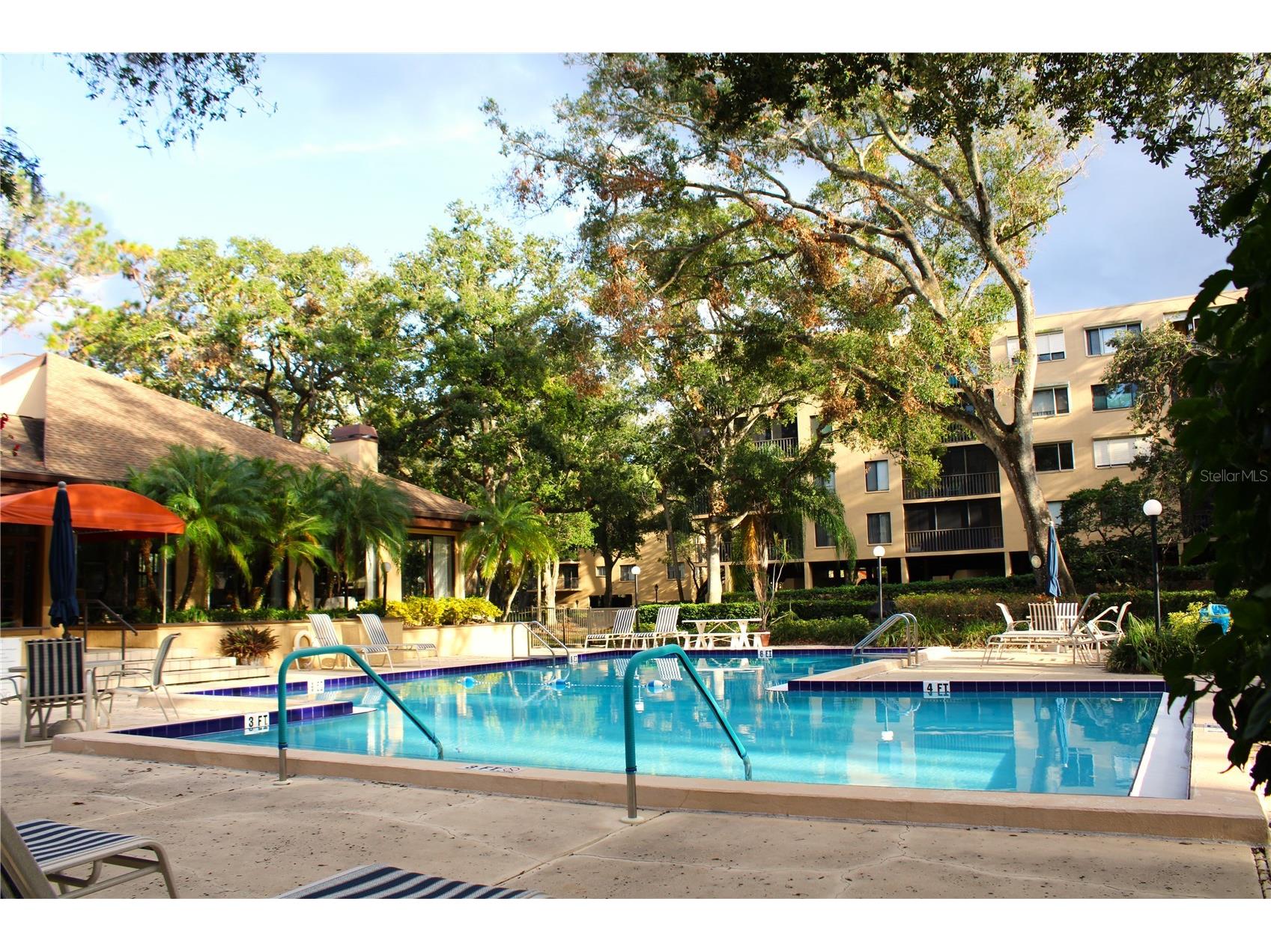 3078 Eastland Boulevard #411 Clearwater FL 33761 TB8479081 image50