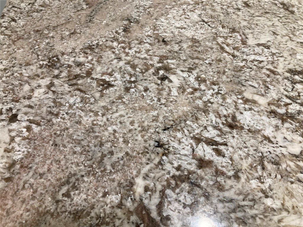 3078 Silvermines Avenue Ormond Beach FL 32174 FC313426 image29