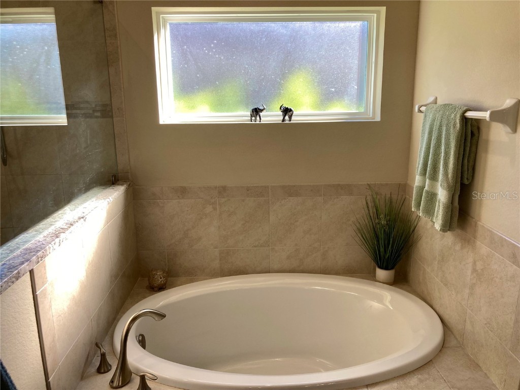 3078 Silvermines Avenue Ormond Beach FL 32174 FC313426 image47