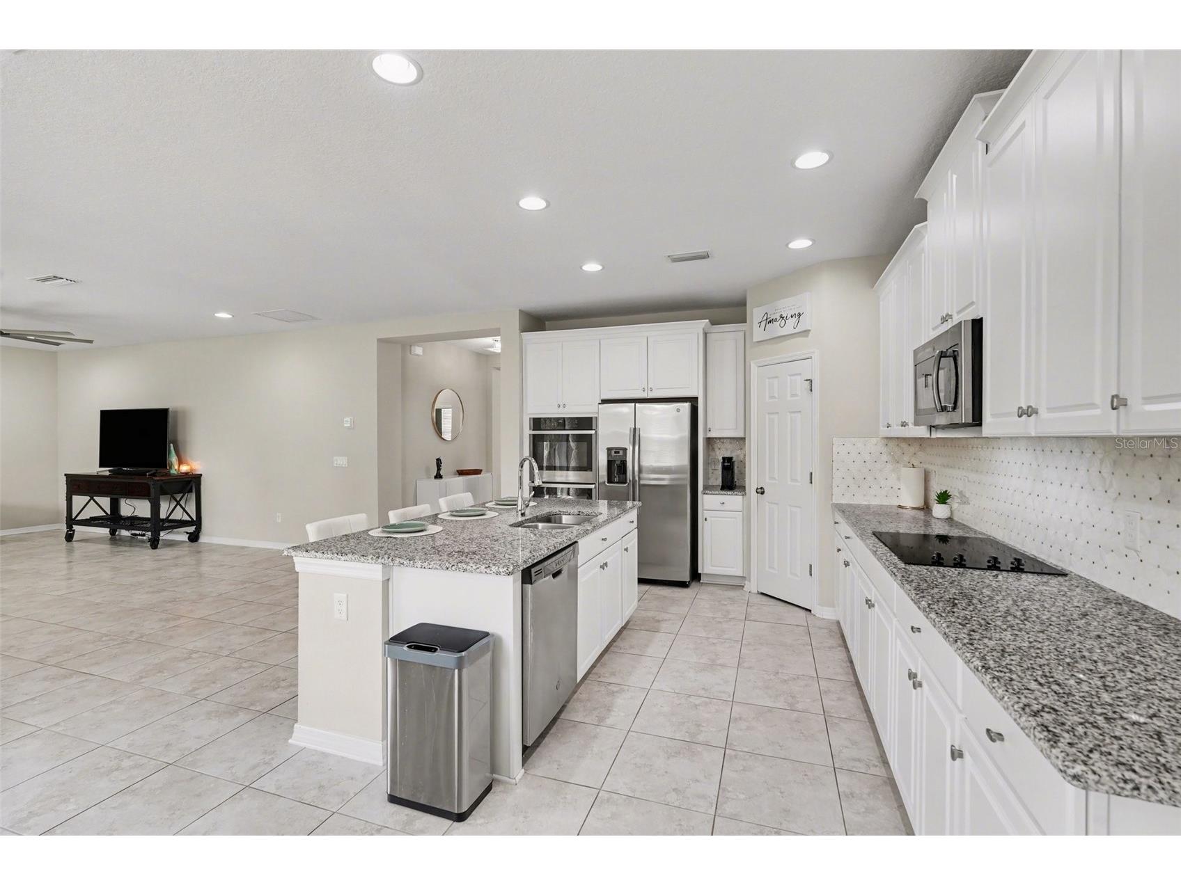 30789 Parrot Reef Court Wesley Chapel FL 33545 TB8489400 image13