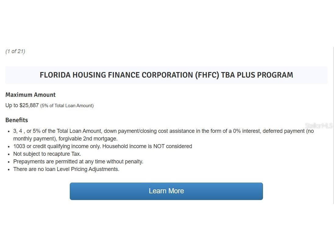 30789 Parrot Reef Court Wesley Chapel FL 33545 TB8489400 image17