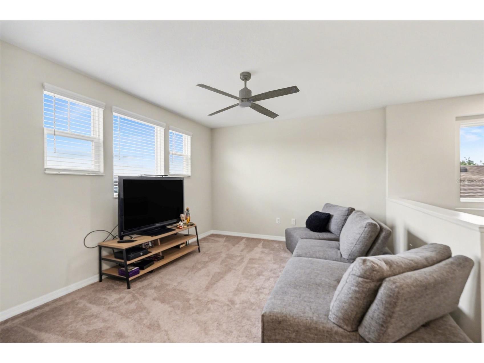 30789 Parrot Reef Court Wesley Chapel FL 33545 TB8489400 image20