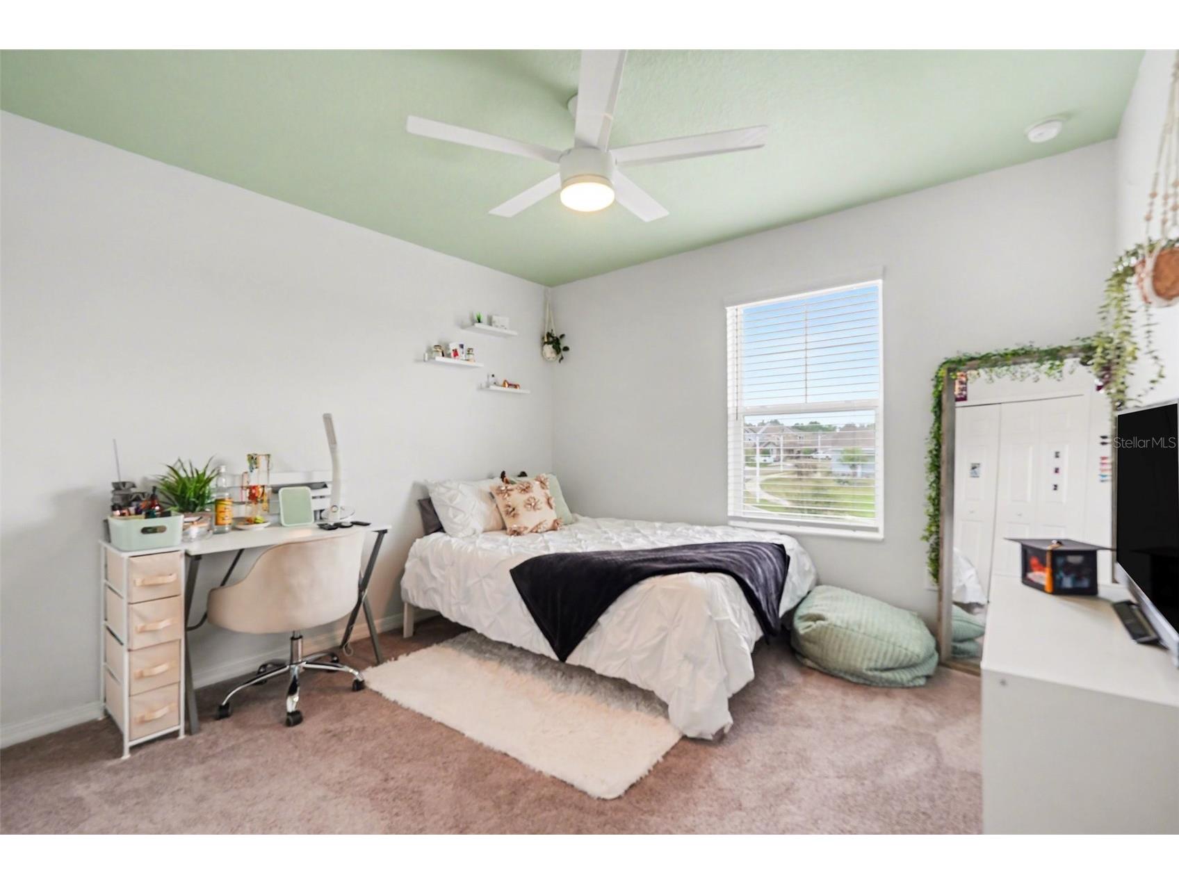 30789 Parrot Reef Court Wesley Chapel FL 33545 TB8489400 image24