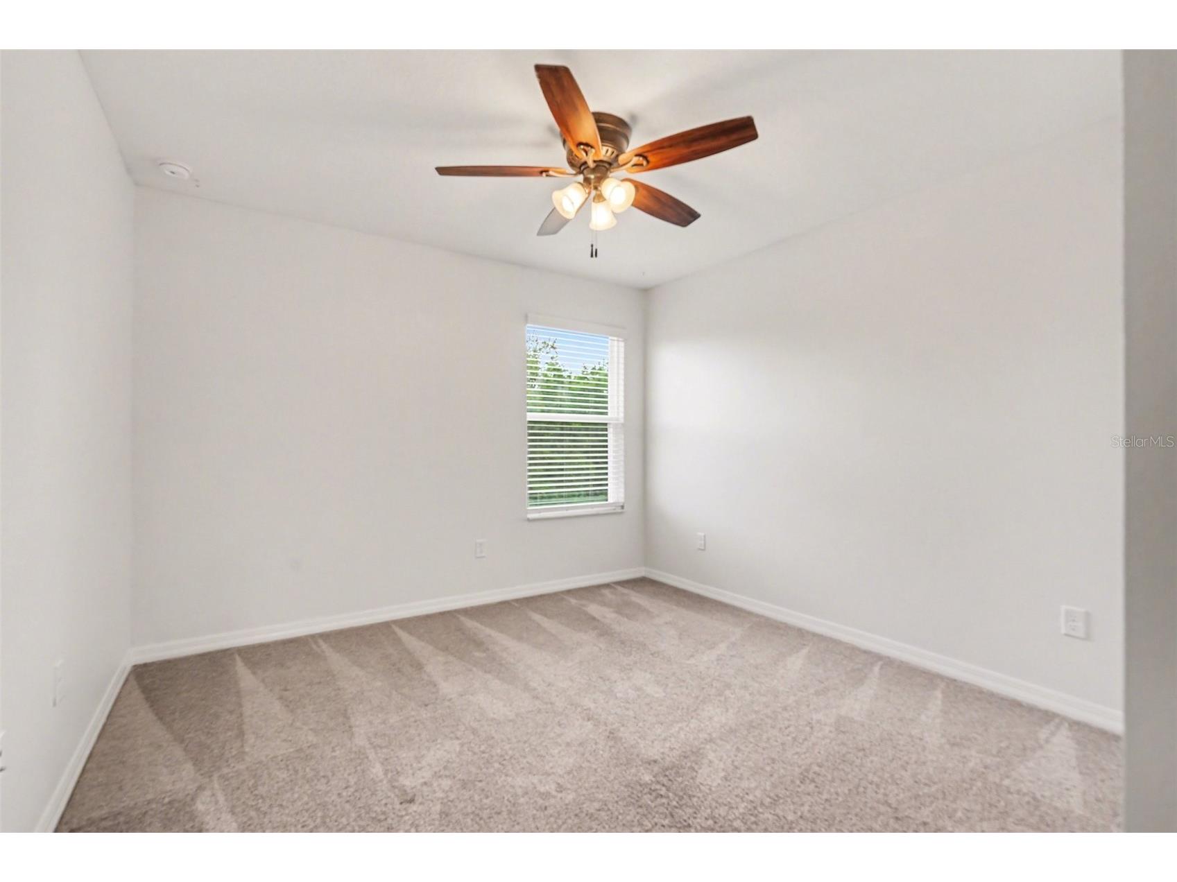 30789 Parrot Reef Court Wesley Chapel FL 33545 TB8489400 image26