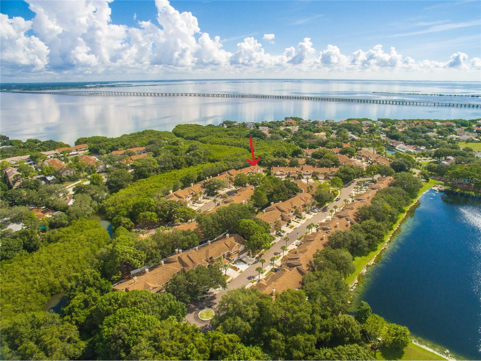 3079 Branch Drive Clearwater FL 33760 TB8478281 image2