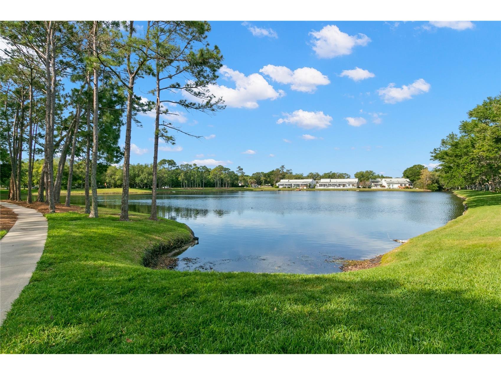 3079 Branch Drive Clearwater FL 33760 TB8478281 image39