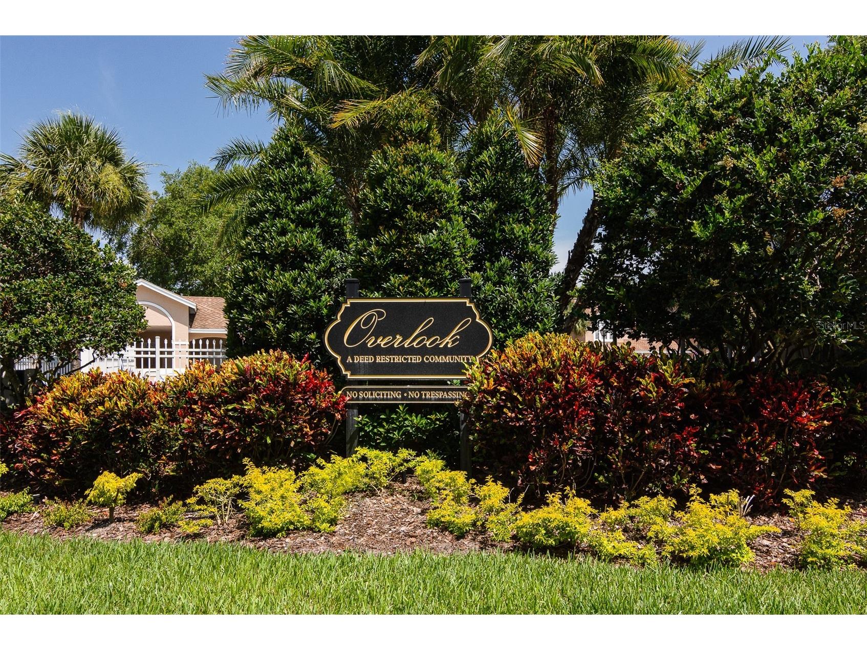 3079 Branch Drive Clearwater FL 33760 TB8478281 image41