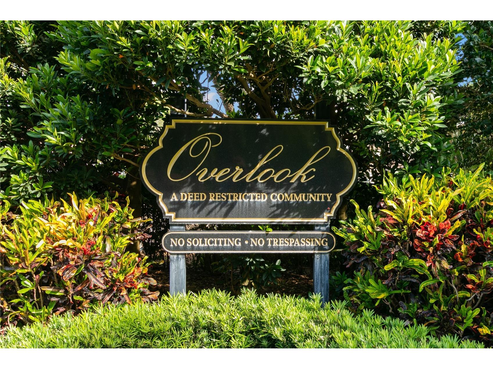 3079 Branch Drive Clearwater FL 33760 TB8478281 image43