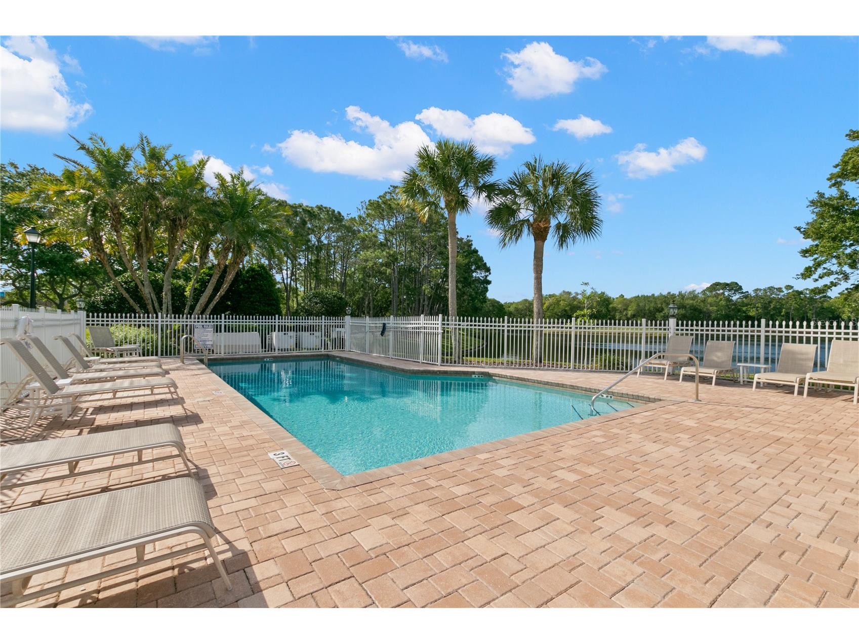 3079 Branch Drive Clearwater FL 33760 TB8478281 image45