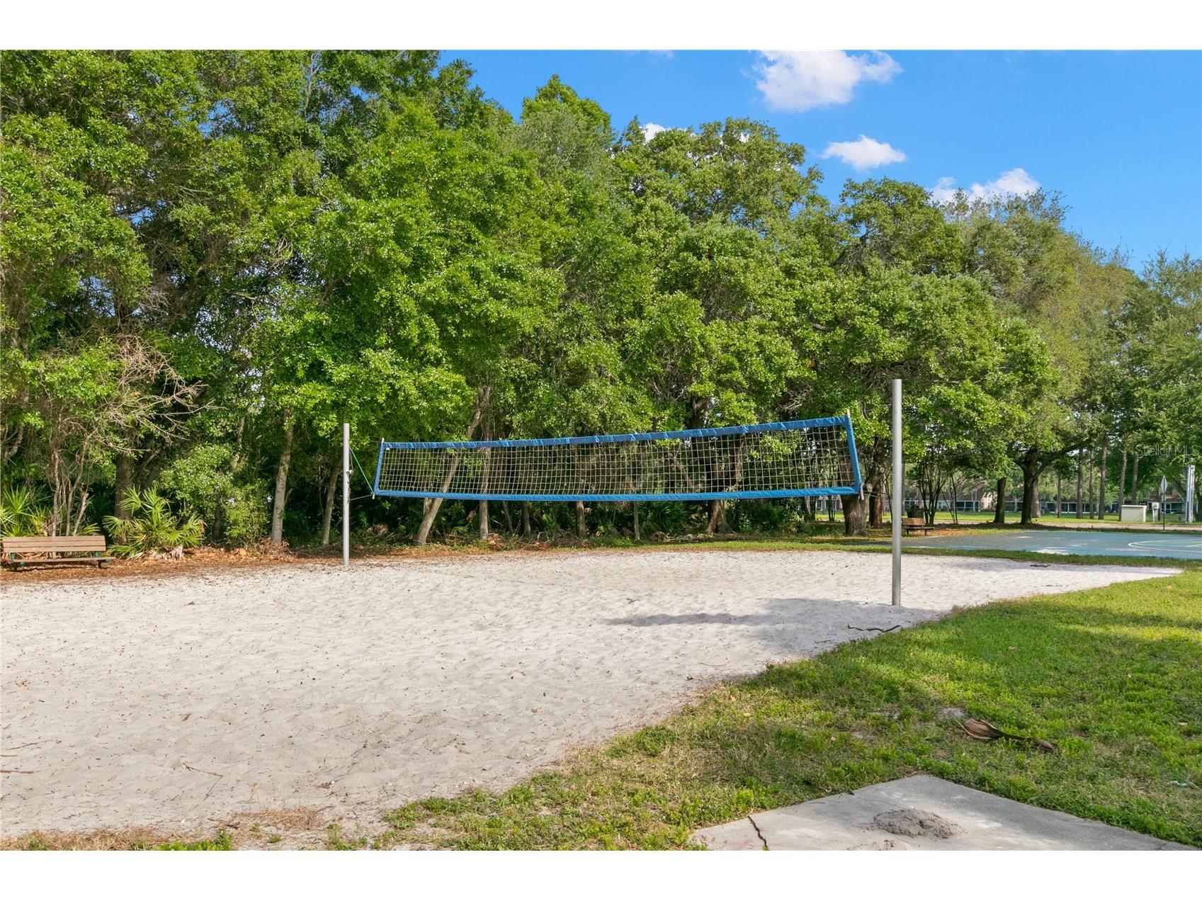 3079 Branch Drive Clearwater FL 33760 TB8478281 image50