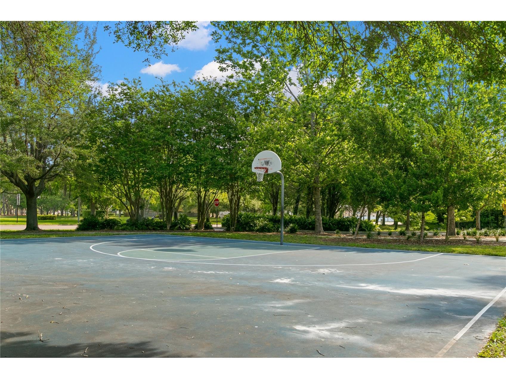 3079 Branch Drive Clearwater FL 33760 TB8478281 image52