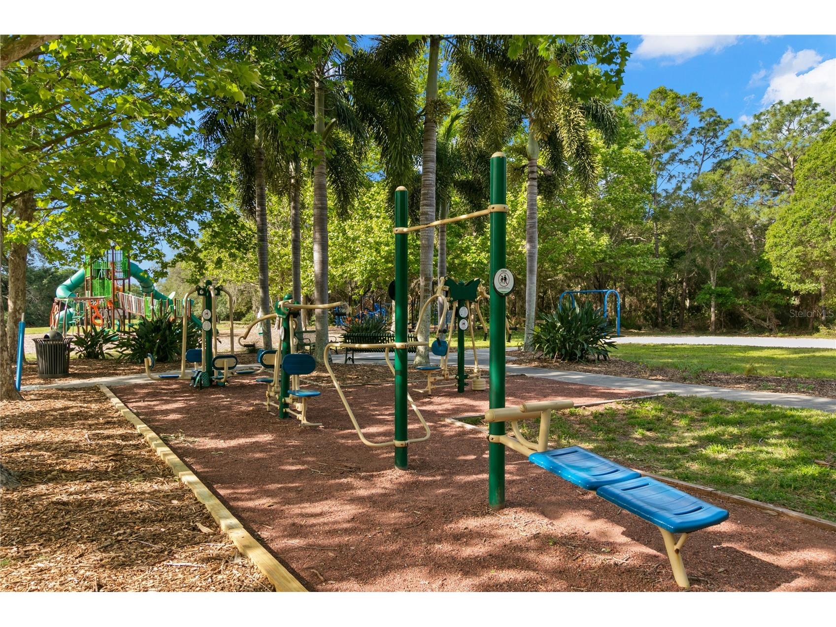 3079 Branch Drive Clearwater FL 33760 TB8478281 image53