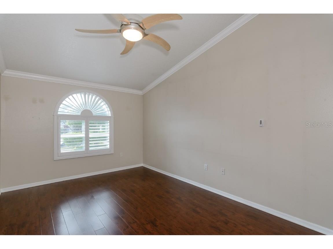 3079 Lahlor Lane Palm Harbor FL 34684 TB8453243 image20