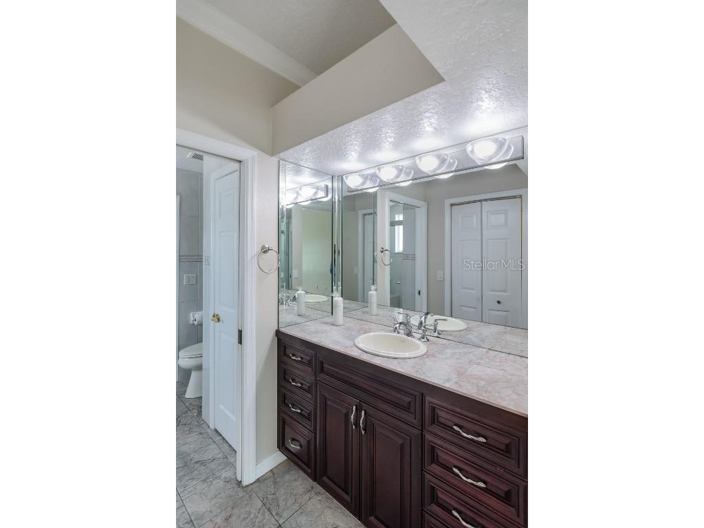 3079 Lahlor Lane Palm Harbor FL 34684 TB8453243 image24