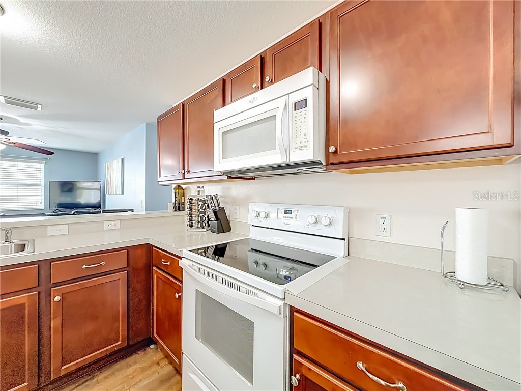 3079 Nutwood Avenue The Villages FL 32163 V4946528 image10