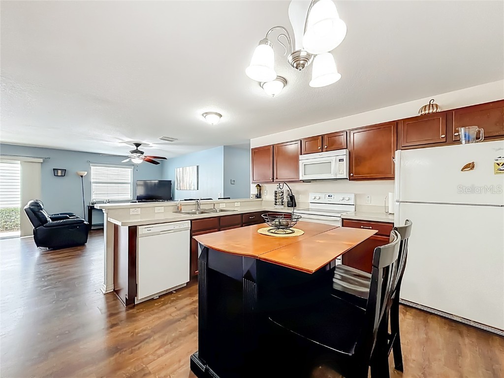 3079 Nutwood Avenue The Villages FL 32163 V4946528 image11