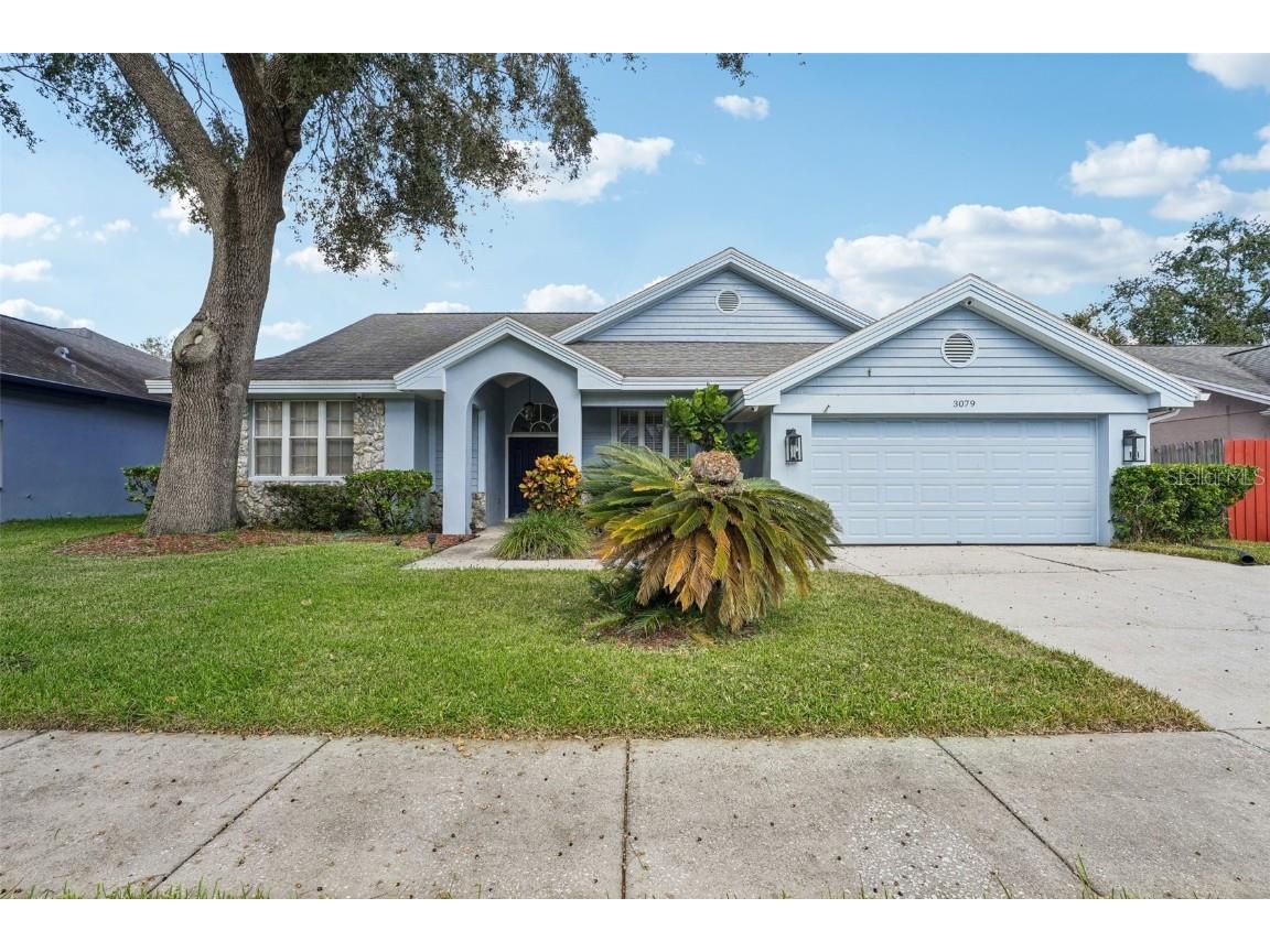 3079 Robinwood Lane Palm Harbor FL 34684 TB8315971 image1