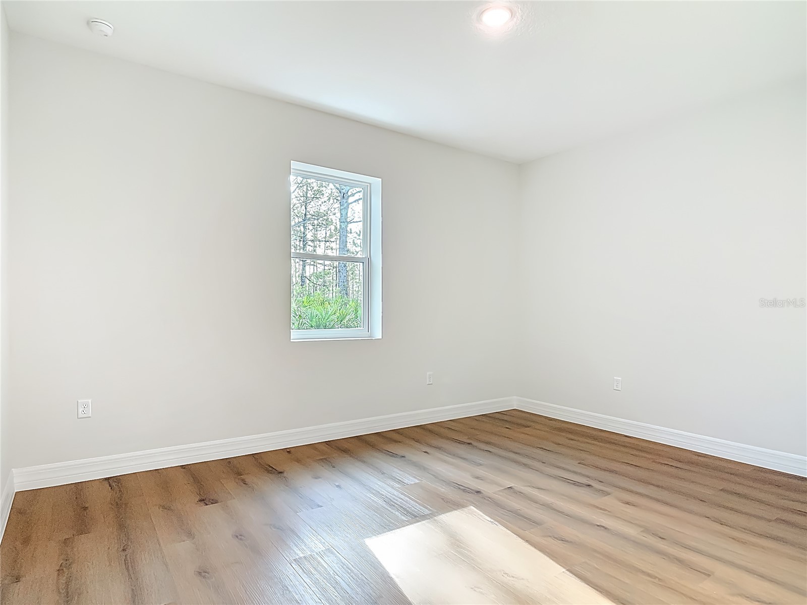 30798 Apricot Avenue Eustis FL 32736 O6396120 image23