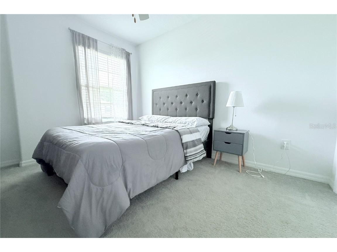 30798 Veridian Way Wesley Chapel FL 33543 TB8461405 image17