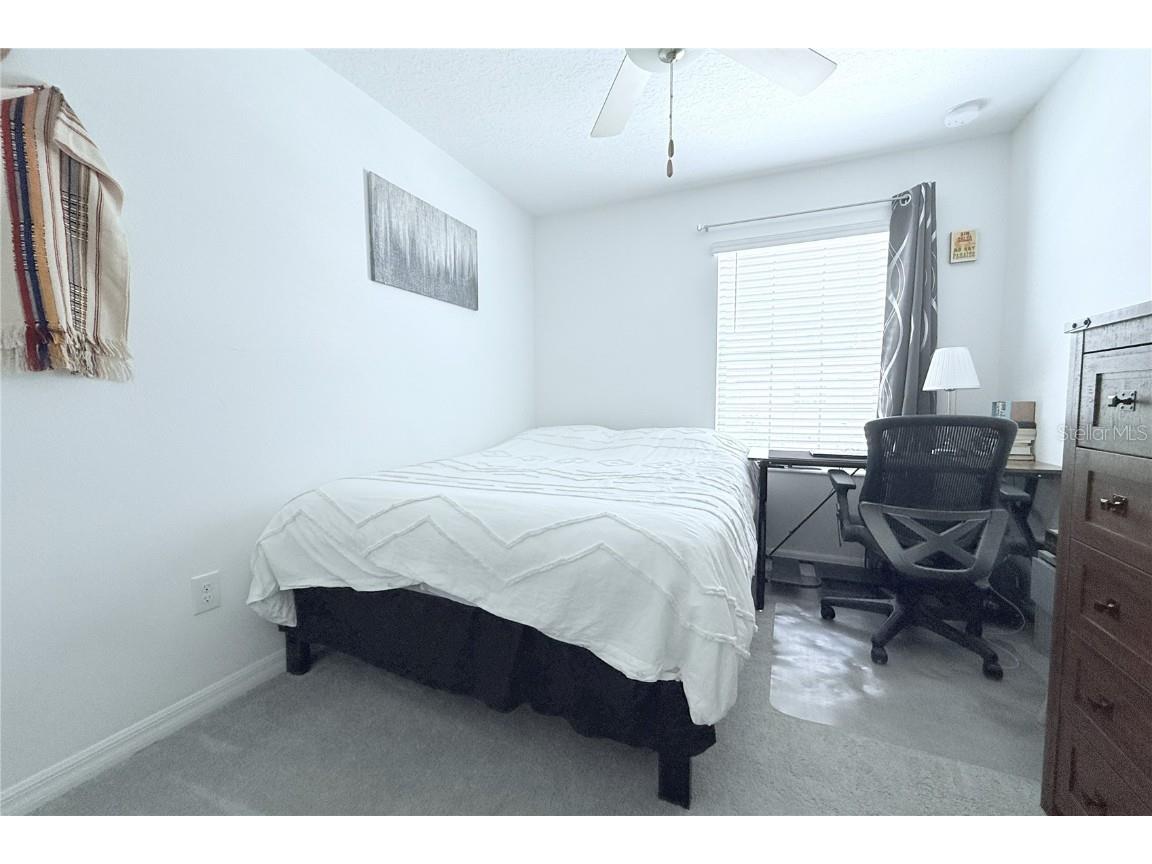 30798 Veridian Way Wesley Chapel FL 33543 TB8461405 image19