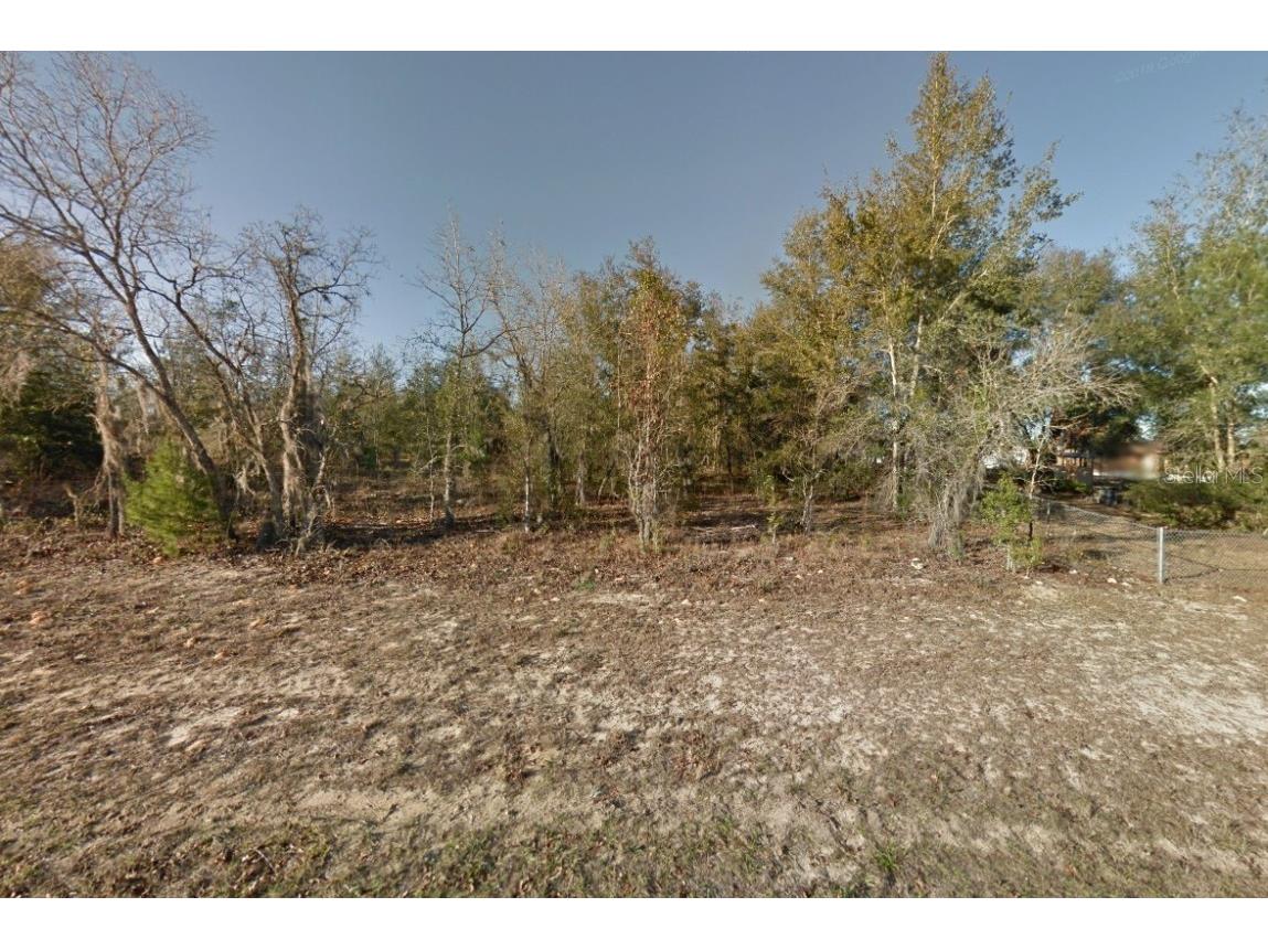 308 3rd Way Interlachen FL 32148 OK223797 image1