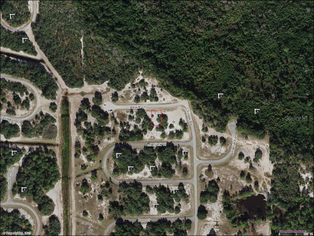 308 Alewife Lane Poinciana FL 34759 O6117625 image1