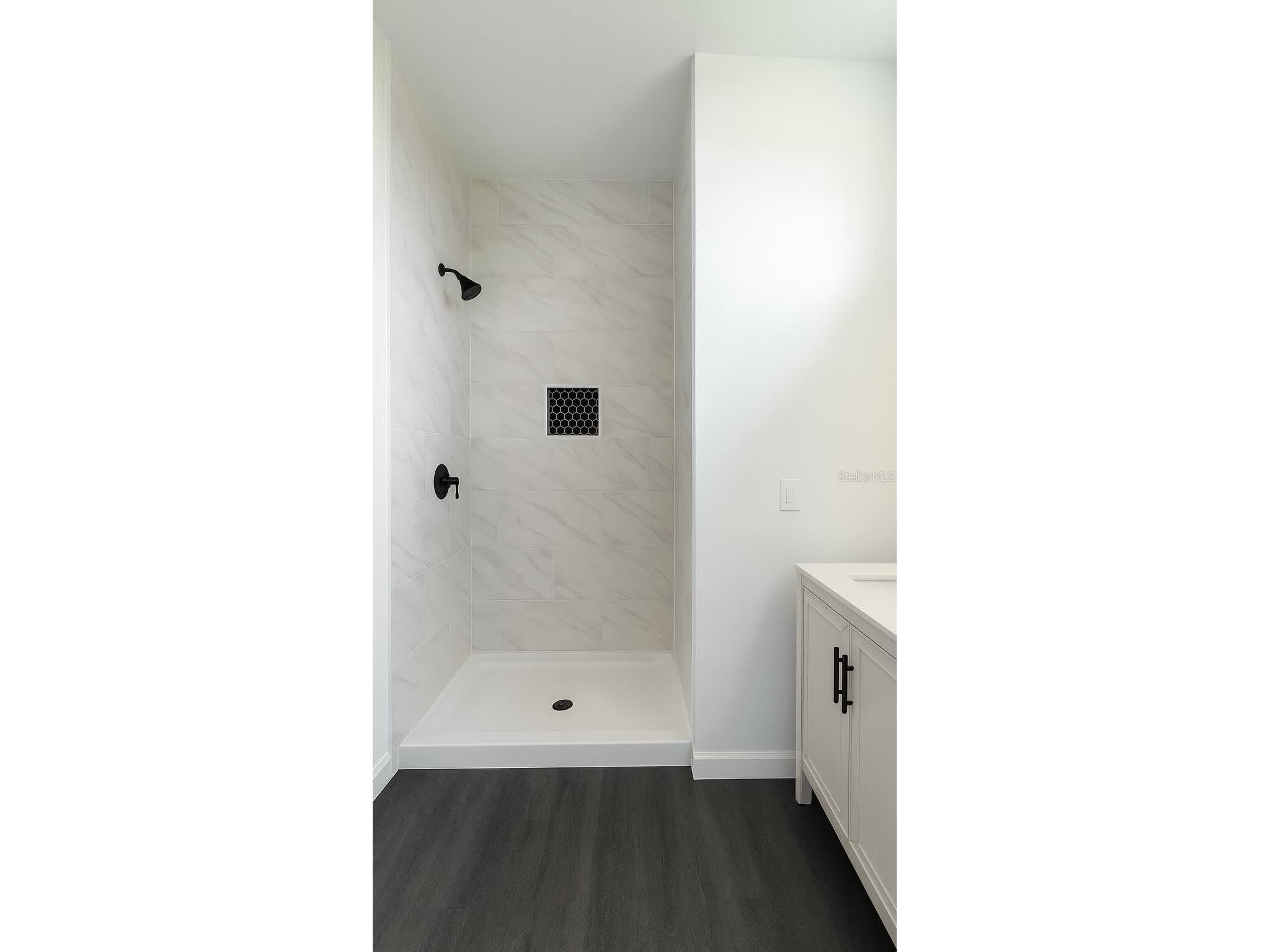 308 Bass Lane Kissimmee FL 34759 O6350497 image8