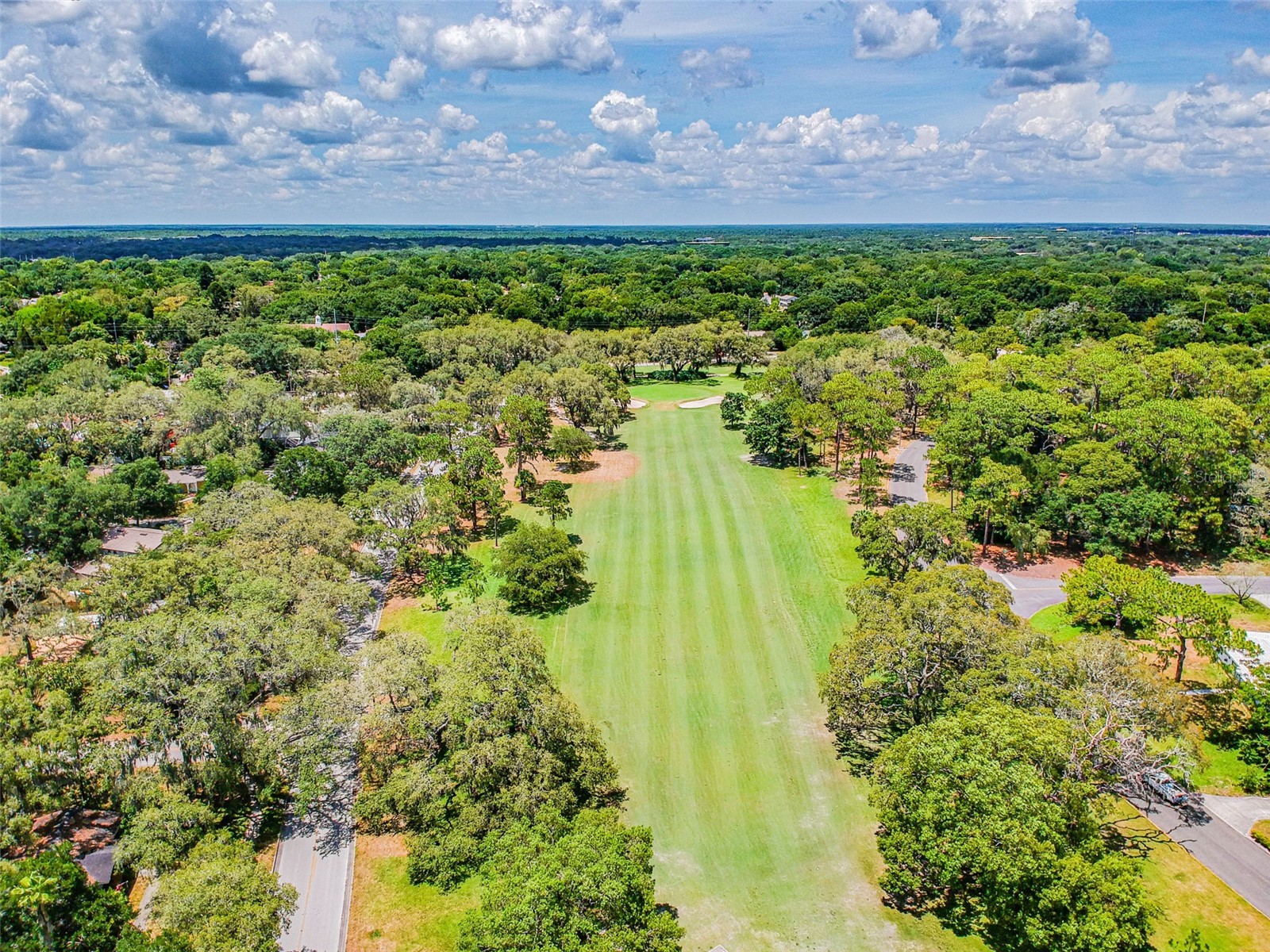 308 Brentwood Drive Temple Terrace FL 33617 TB8474120 image28