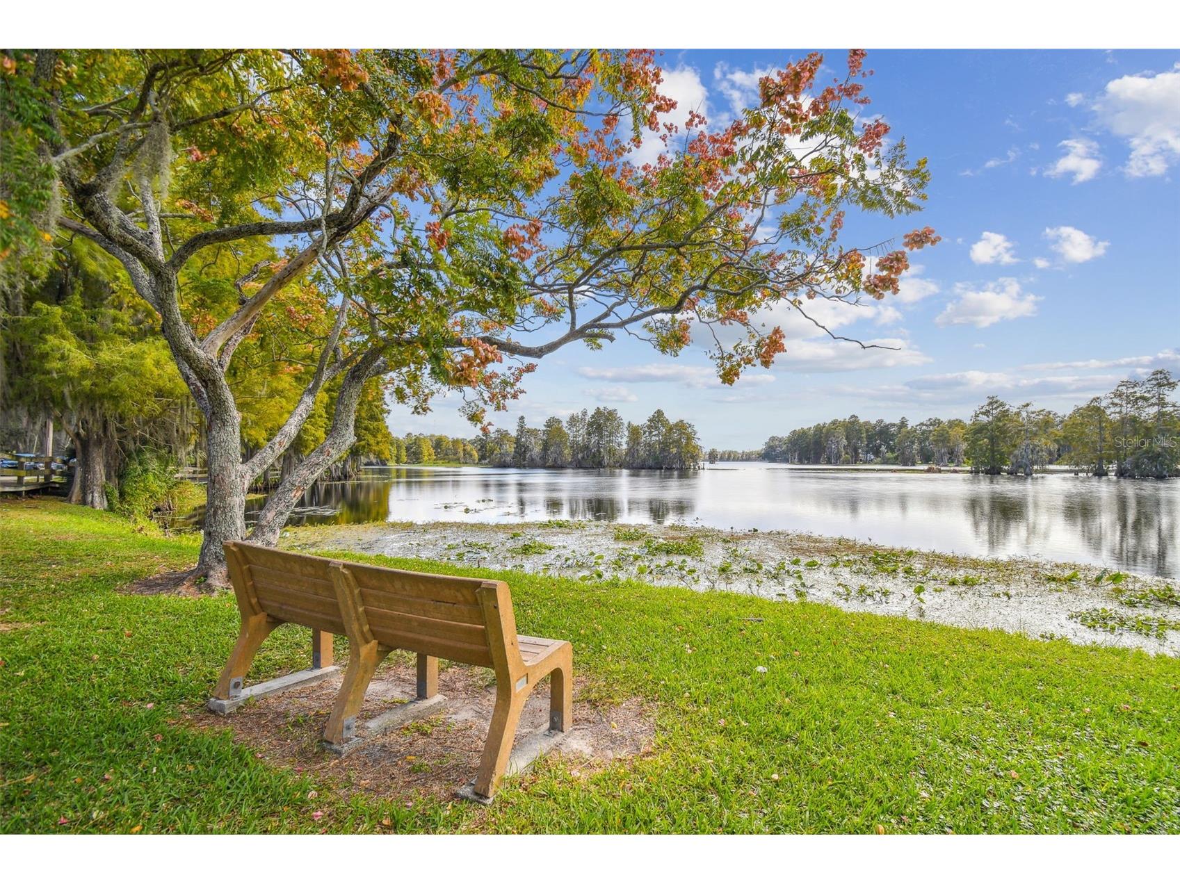 308 Brentwood Drive Temple Terrace FL 33617 TB8474120 image37