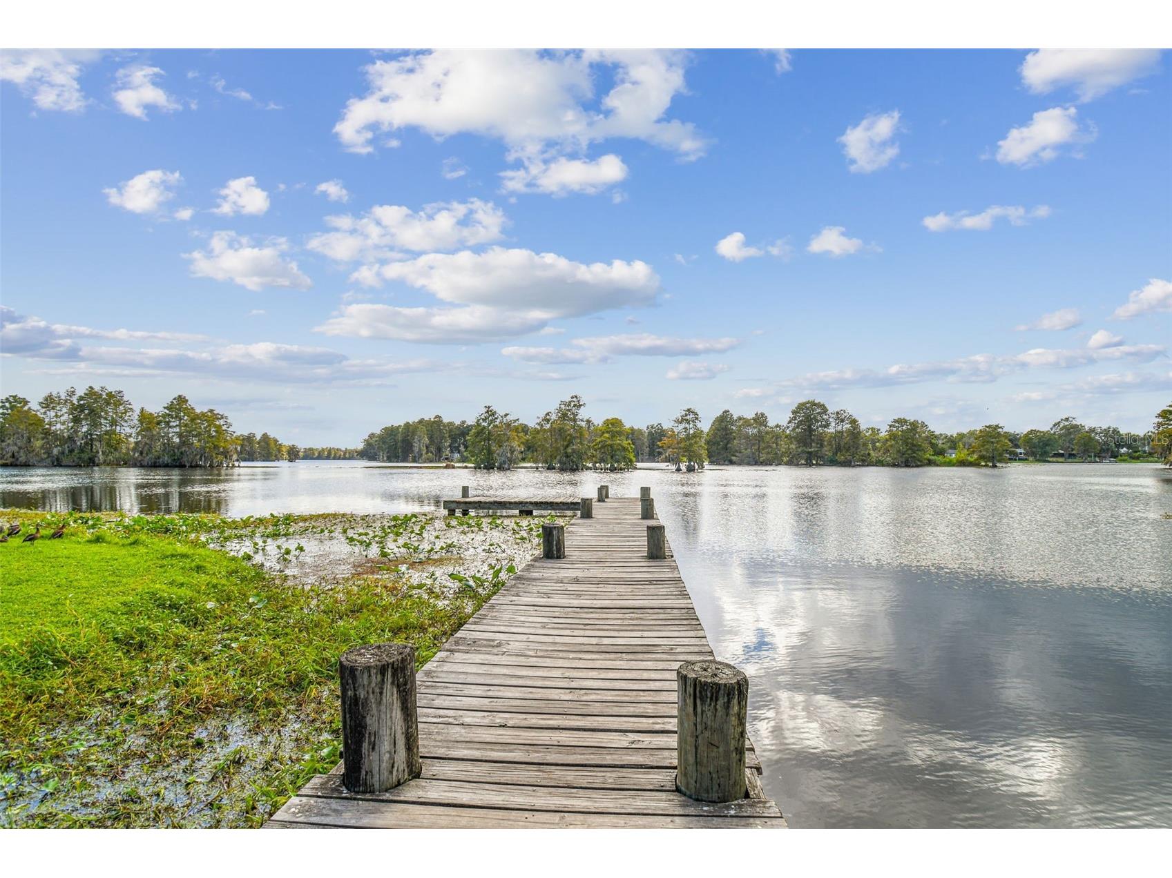 308 Brentwood Drive Temple Terrace FL 33617 TB8474120 image38