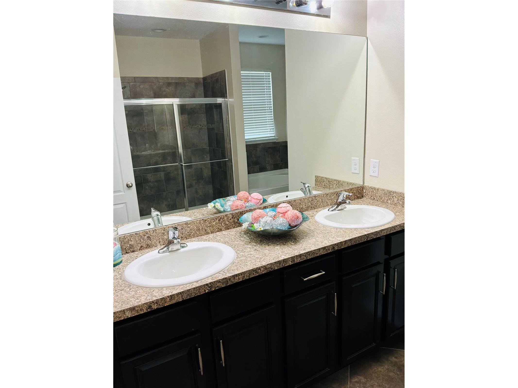 308 Corbett Bluff Drive Ruskin FL 33570 TB8525704 image20