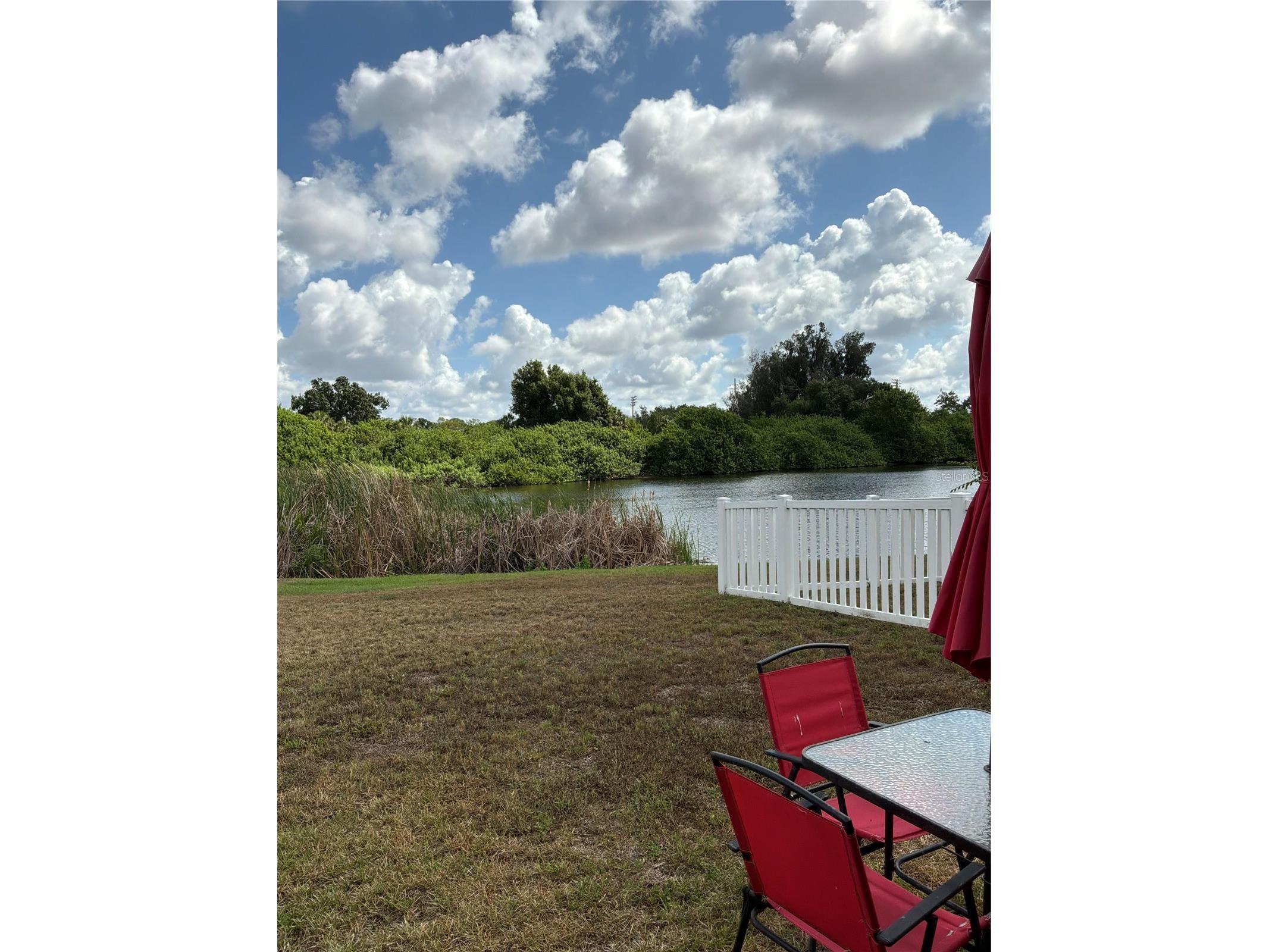 308 Corbett Bluff Drive Ruskin FL 33570 TB8525704 image26