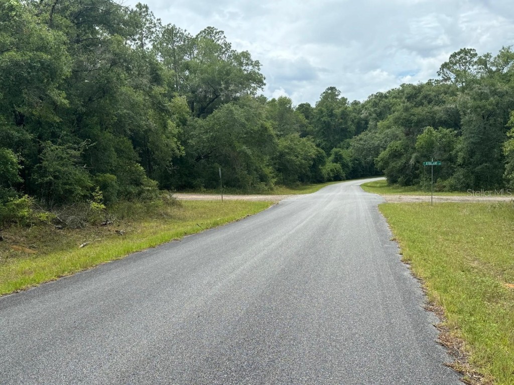 308 E Bimini Drive Dunnellon FL 34434 O6217950 image1
